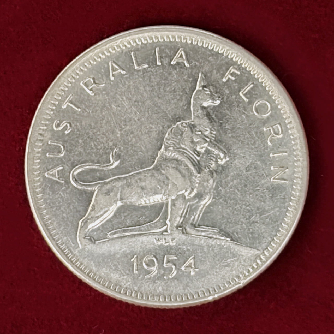 オーストラリア】フローリン 銀貨 1954［C-0001159］ – ワールド