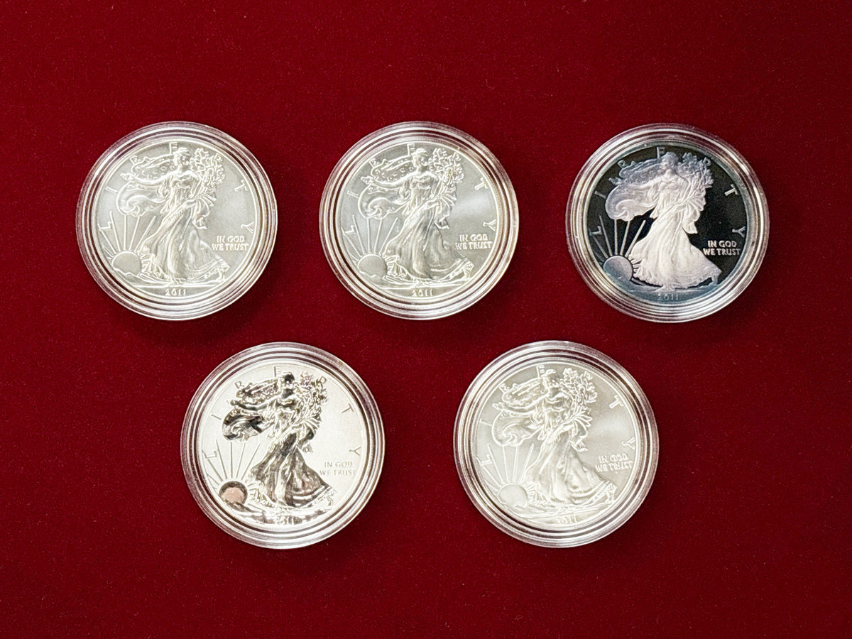 [USA] American Eagle 25th Anniversary Silver Coin Set of 5 2011 [C-0000043]