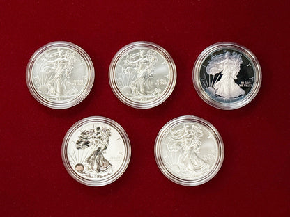 [USA] American Eagle 25th Anniversary Silver Coin Set of 5 2011 [C-0000043]