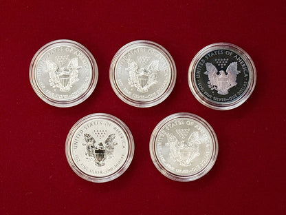 [USA] American Eagle 25th Anniversary Silver Coin Set of 5 2011 [C-0000043]