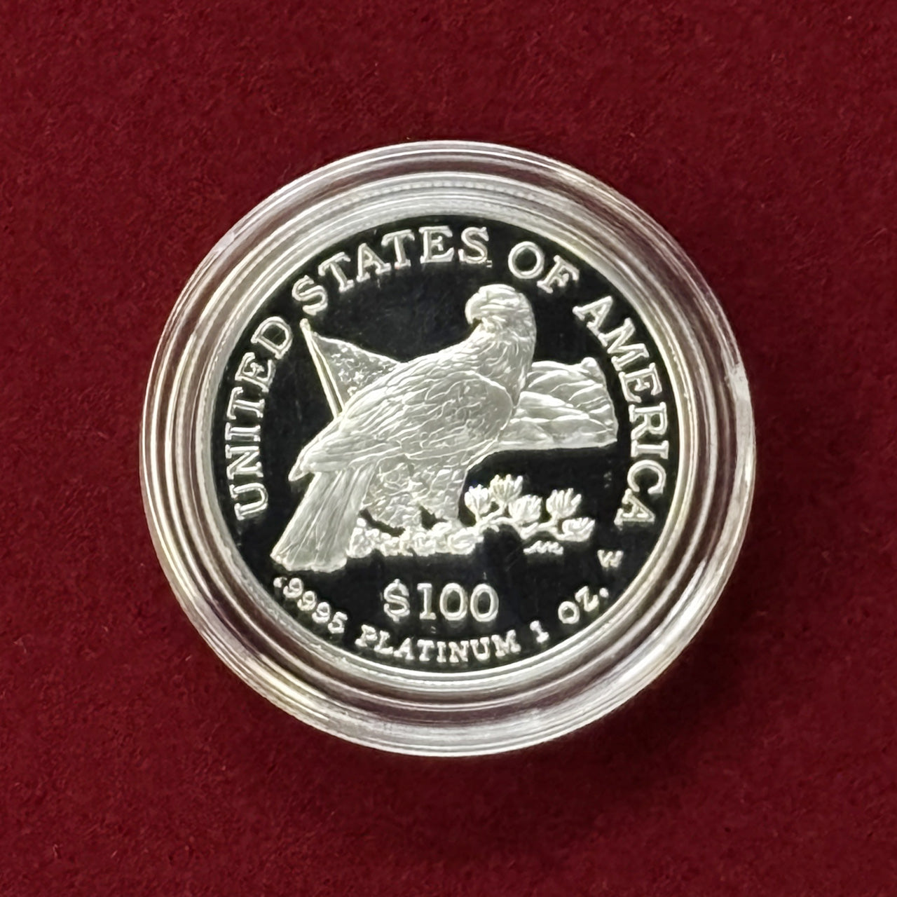 [USA] 100 dollar platinum proof coin 2003 [A-0000075]