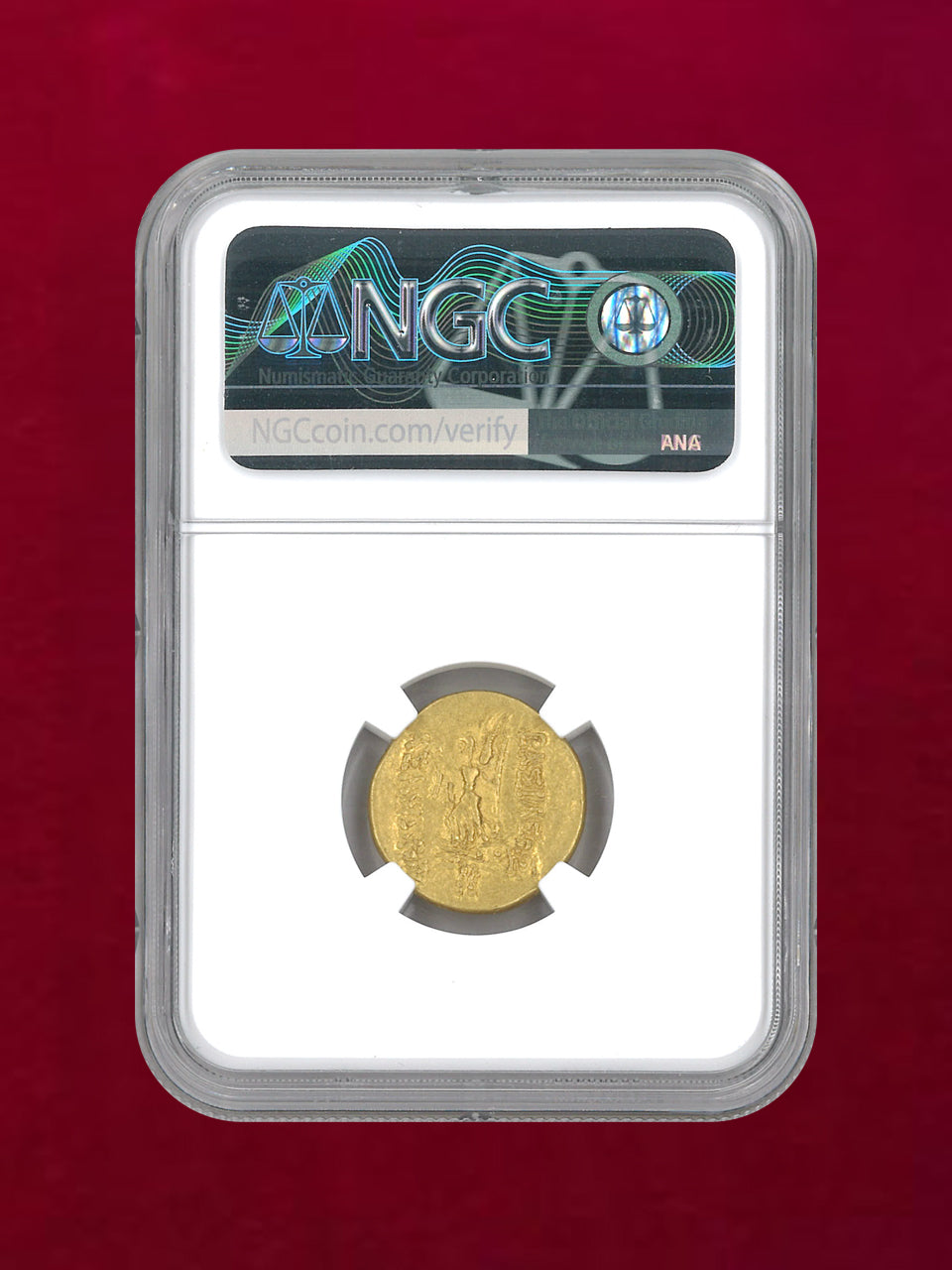 [Bosporan Kingdom] Asander, c.47-16BC AV Stater (8.19g) NGC Ch XF 4/5 4/5 die shift [A-0000134]