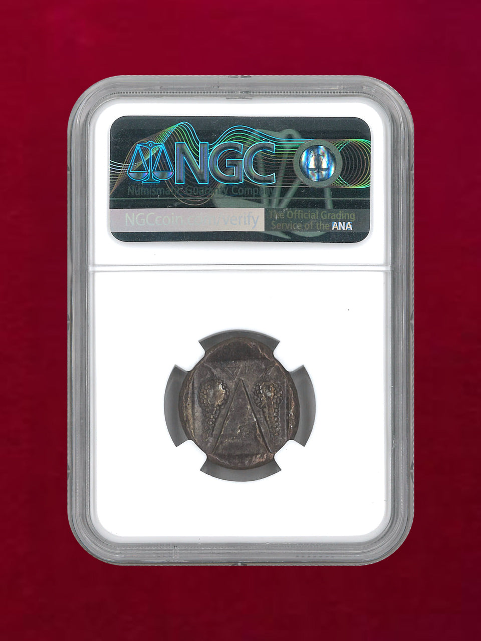 【カリア・カウノス】c.450-390BC AR Stater(11.56g) NGC Ch XF 5/5 4/5［B-0000155］