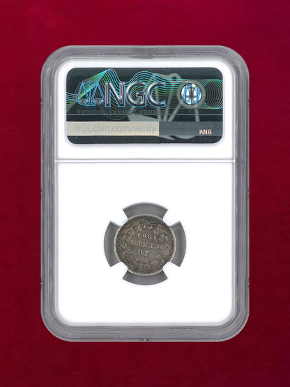 【カナダ・ニューブランズウィック】10セント銀貨 NEW BRUNC. 1864 NGC AU 53［B-0000218］