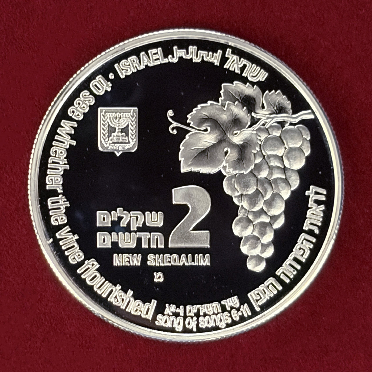 【イスラエル】キツネとブドウ畑 2シェケル 銀貨 プルーフ 1996［B-0000806］