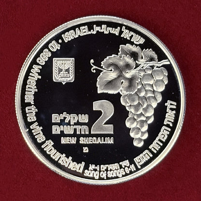 【イスラエル】キツネとブドウ畑 2シェケル 銀貨 プルーフ 1996［B-0000806］