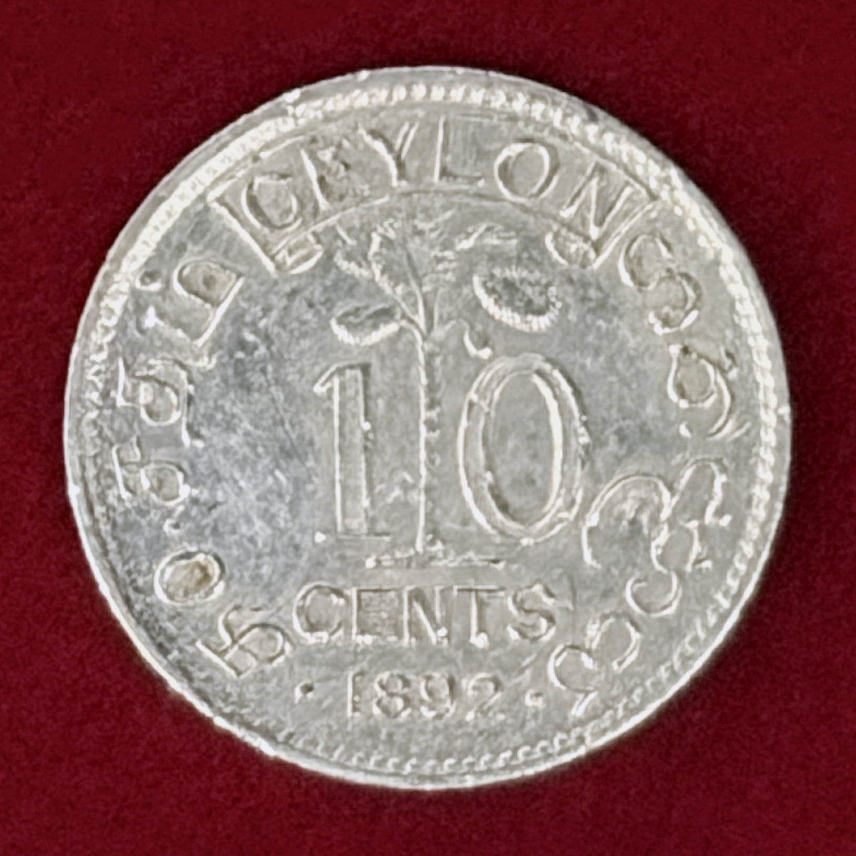 【セイロン】10セント 銀貨 1892［B-0001129］