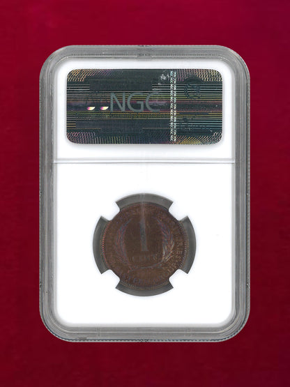 【イギリス領カリブ連邦】セント青銅貨 1962 NGC PF64 RB［C-0000082］