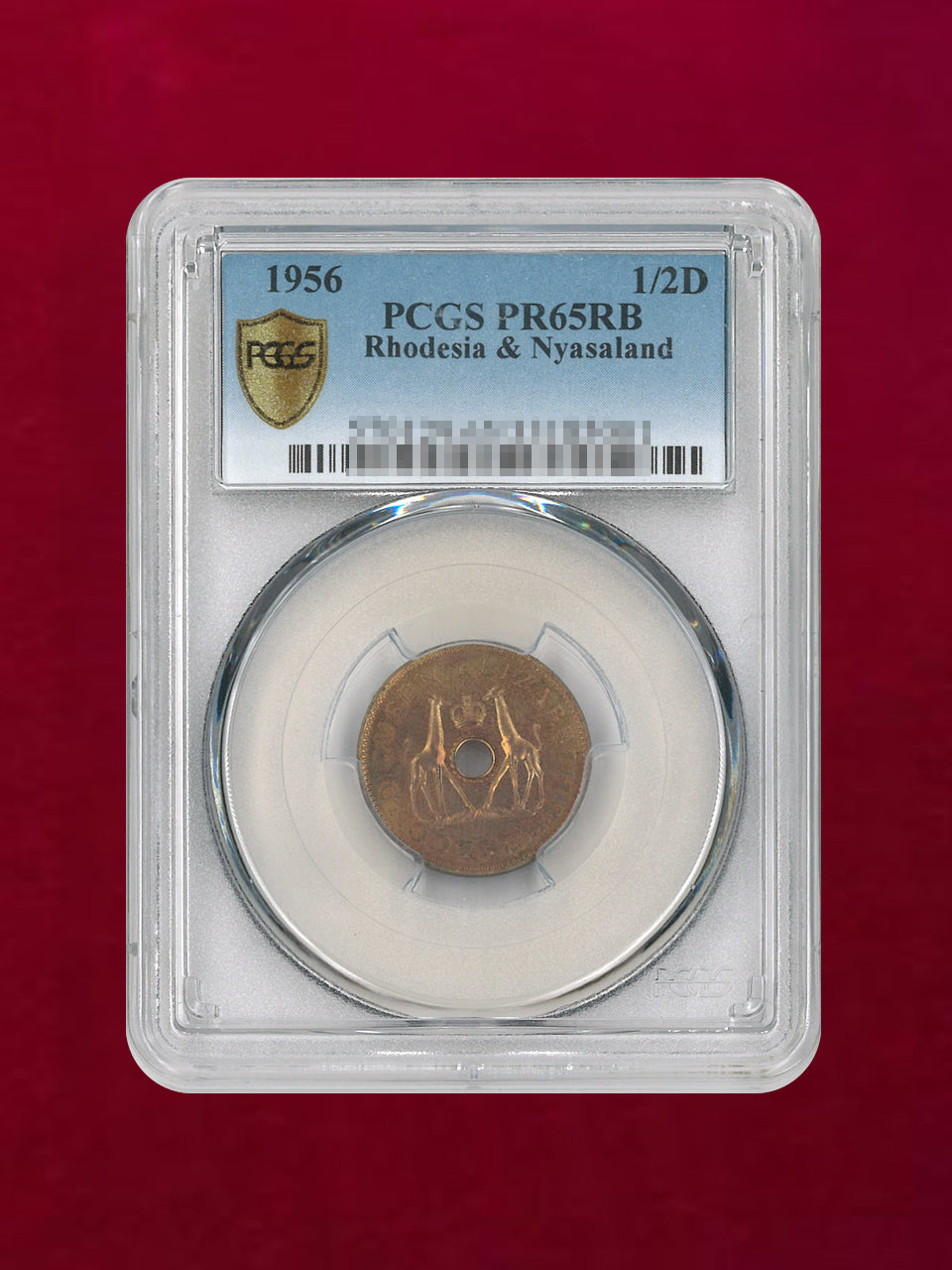 [Federation of Rhodesia and Nyasaland] 1/2 penny bronze coin 1956 PCGS PR65RB [C-0000151]