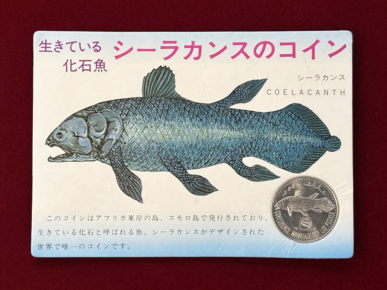 コモロ諸島】5フラン アルミ貨 1984［C-0000425］ – ワールドコインズ
