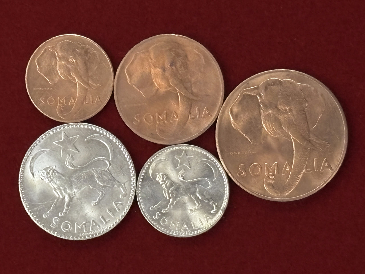 【ソマリア】コインセット 5枚組 1950［C-0000726］