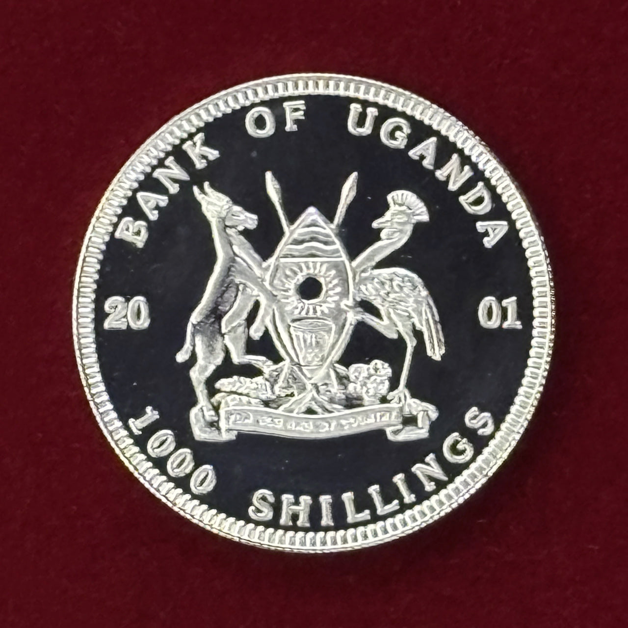 Price Reduced [Uganda] African Animal Buffalo 1000 Shilling Proof 2001 [C-0000787]