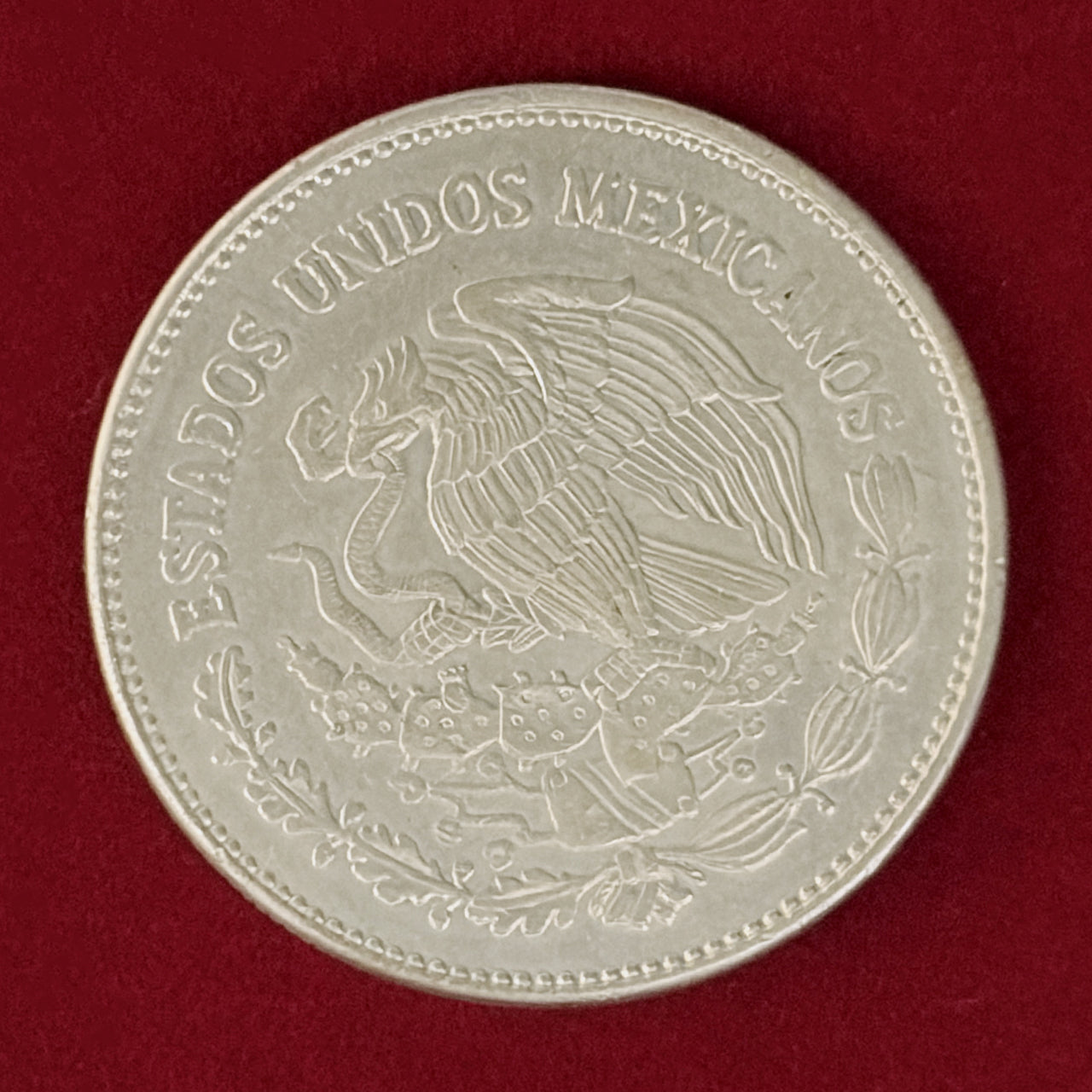 メキシコ】アステカ文明 コヨルシャウキ 50ペソ 白銅貨 1982［C